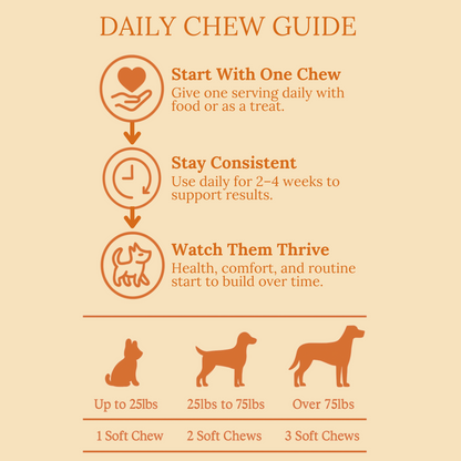 Daily Support Chews